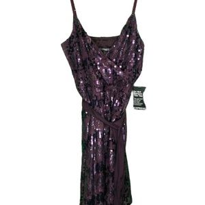 Purple Sequence Spaghetti Strap Sz 2 from Express